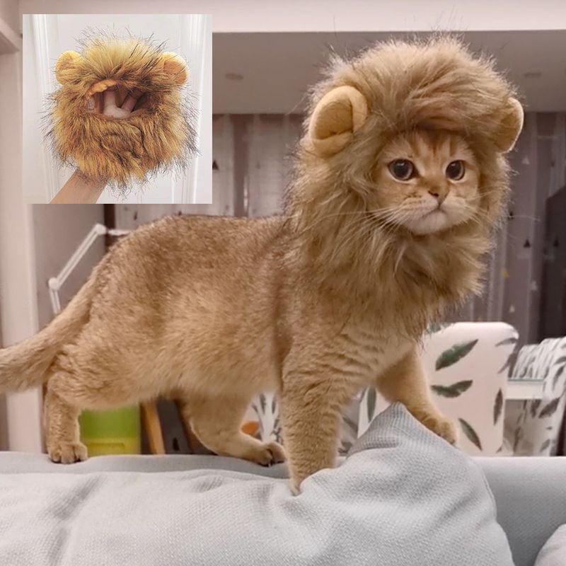 Cat Wig