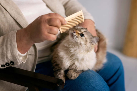 Long haired cat grooming tools