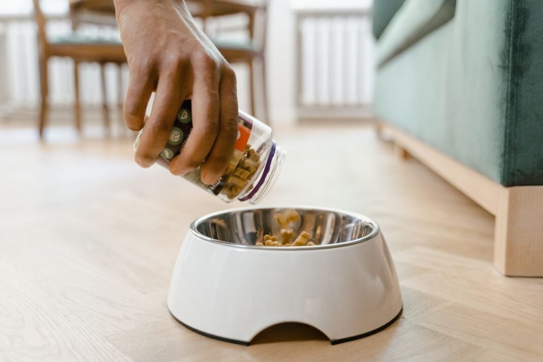 best dog food for allergies