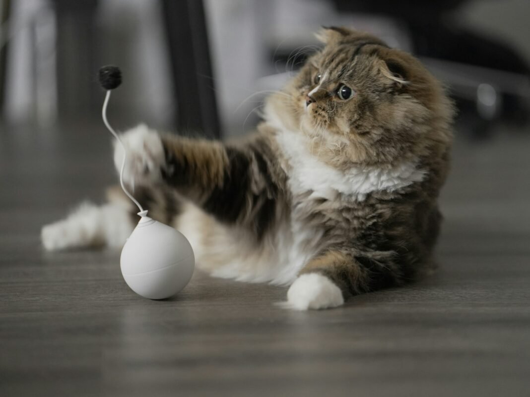 best interactive cat toys