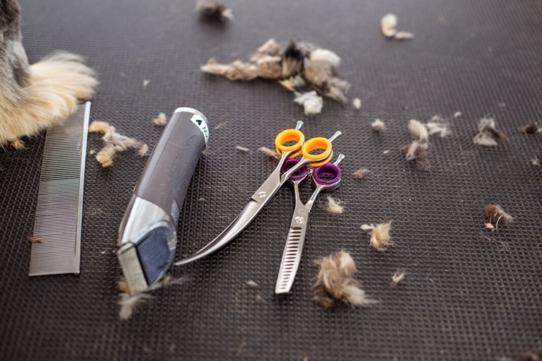 Dog Grooming Tools for Home Use