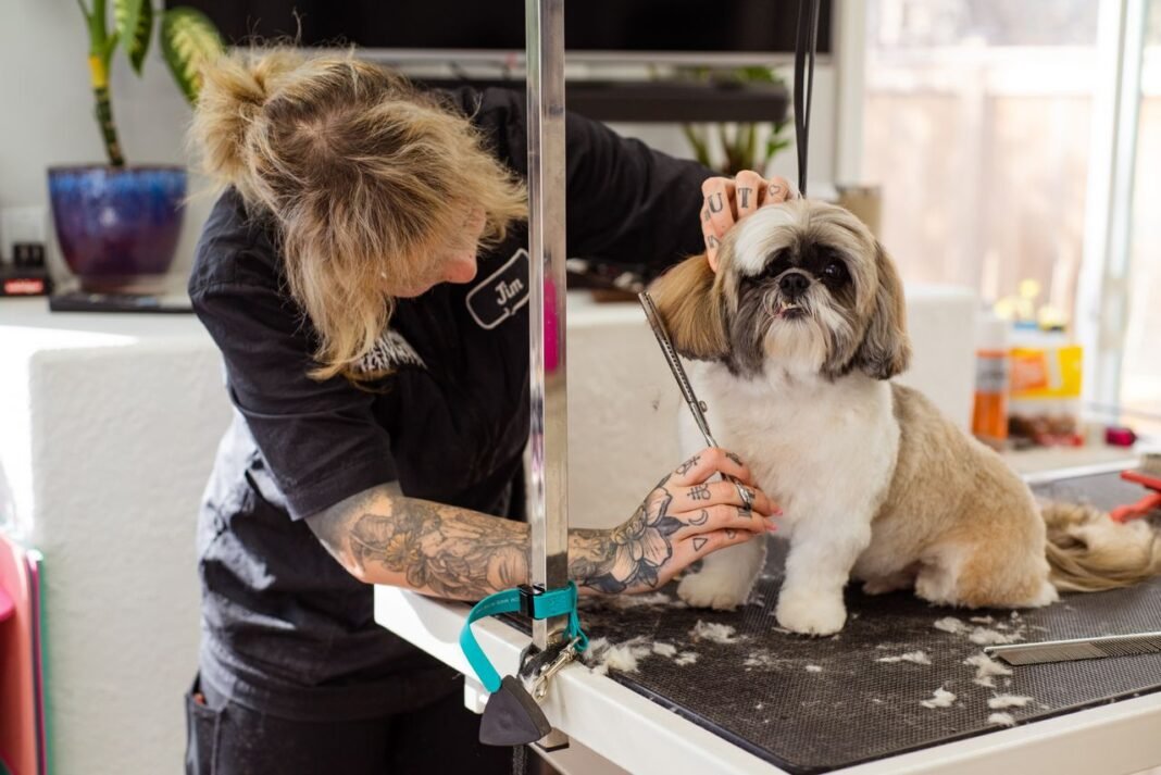 benefits of professional dog grooming